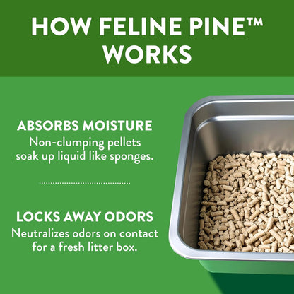 HOTFeline Pine Platinum Non-Clumping Cat Litter 17lb | Plant-Based Cat Litter, Natural Odor Control, Low Dust Cat litter, Unscented Formula, Lightweight & Low Dust