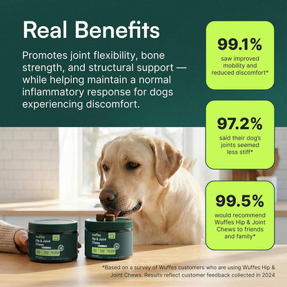 HOTWuffes Advanced Dog Hip and Joint Supplement with Glucosamine, Chondroitin, Omega 3, MSM, and Green Lipped Mussel, 60 Pork Flavored Chews for Small and Medium Dog Breeds