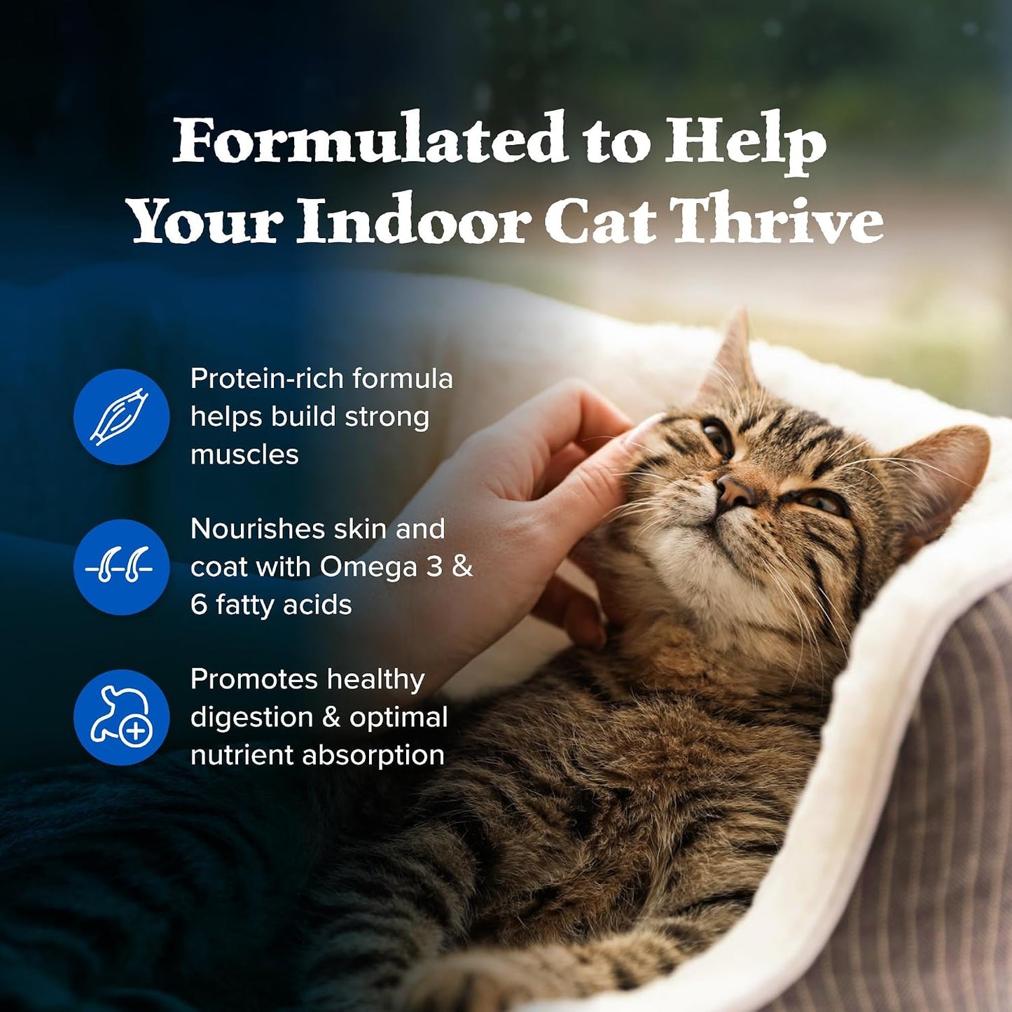 HOTBlue Buffalo Wilderness Chicken Natural High-Protein Grain-Free Dry Food for Adult Indoor Cats, Real Chicken First, Antioxidant-Rich LifeSource Bits Support Immunity, Promotes Strong Muscles, 5 lbs.