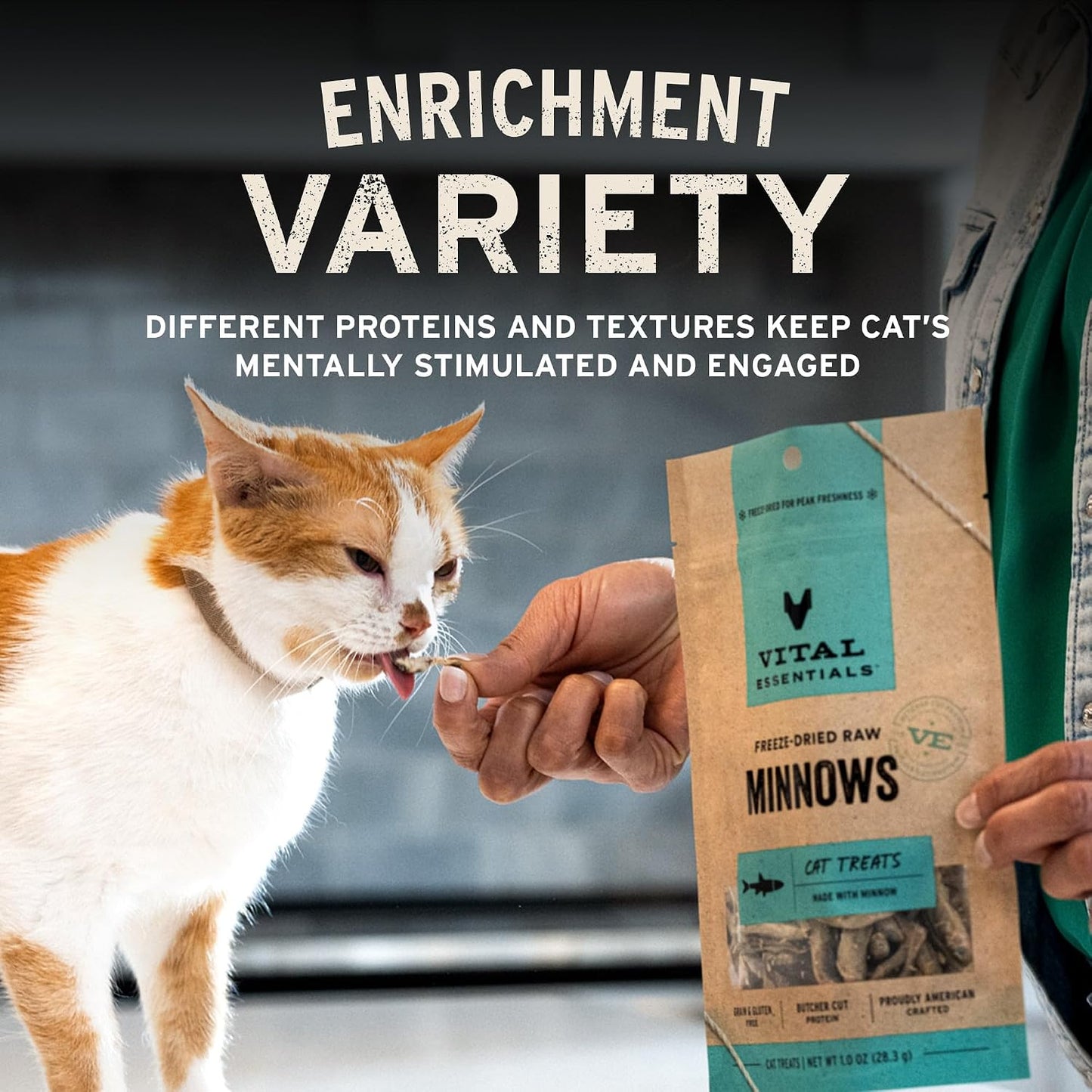 HOTVital Essentials Freeze Dried Minnows Cat Treats, 1.0 oz Bag | Single Ingredient, Premium Quality Protein, Grain Free, Healthy Treats, USA Made with U.S. & Globally Sourced Ingredients