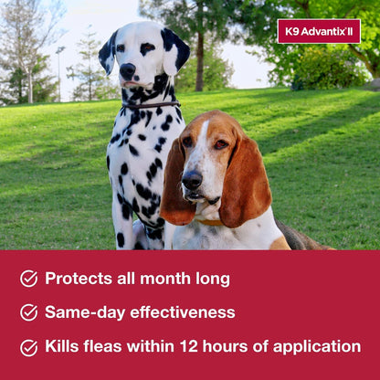 HOTK9 Advantix II XL Dog Vet-Recommended Flea, Tick & Mosquito Treatment & Prevention | Dogs Over 55 lbs. | 2-Mo Supply