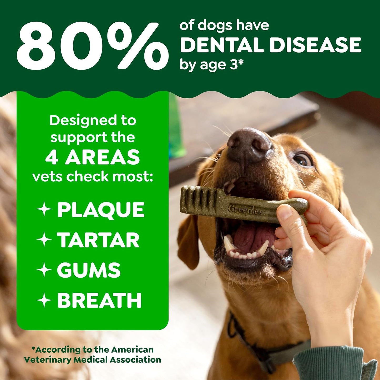 HOTGreenies Regular Dental Dog Treats, Original Chicken Flavor, 36 Count | Clinically-proven, veterinarian-recommended, 47% less tartar & 40% less plaque in 28 days, for dogs 25-50 lbs, 36 oz. Pack
