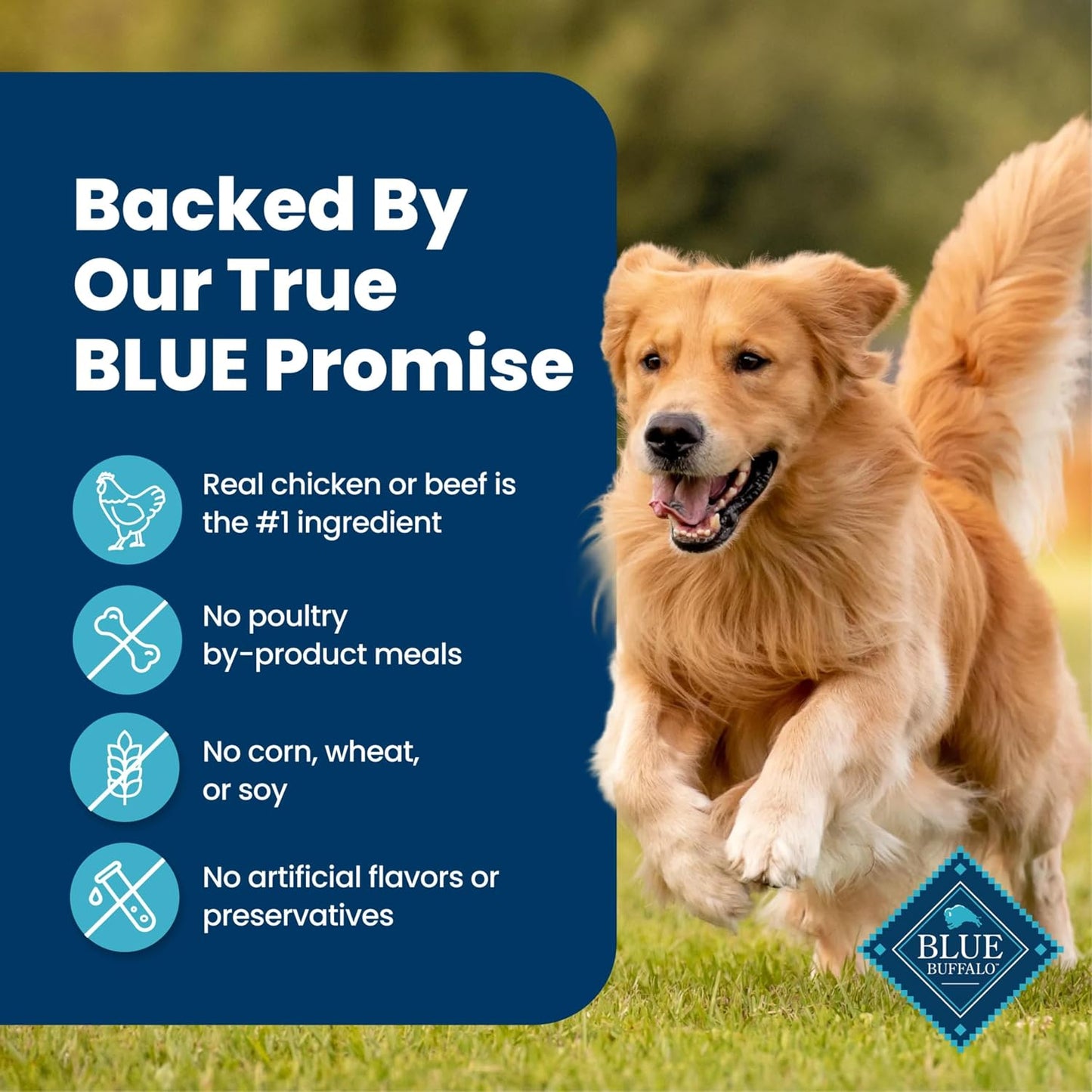 HOTBlue Buffalo Homestyle Recipe Wet Dog Food Paté Variety Pack, Chicken Dinner & Beef Dinner with Garden Vegetables, Made with Natural Ingredients, 12.5-oz. Can (6 Count, 3 of Each)