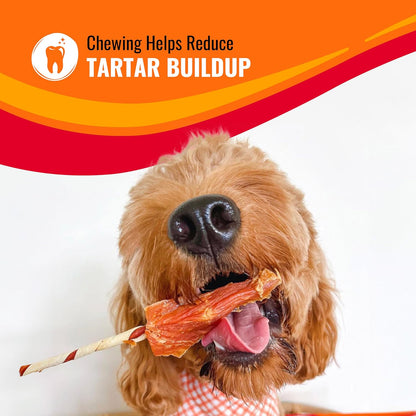 HOTGood 'n' Fun Kabobs Long-Lasting Dog Treat, With Real Proteins, Beef Hide and Premium Chicken, Supports Dental Health, Mental Stimulation, 24 oz
