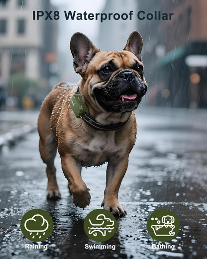 HOTDog Shock Collar - 4500FT Dog Training Collar with Remote, IPX8 Waterproof Electric Dog Collar with 4 Training Modes, Security Lock, Rechargeable eCollar for 10-120lbs Small Medium Large Dogs