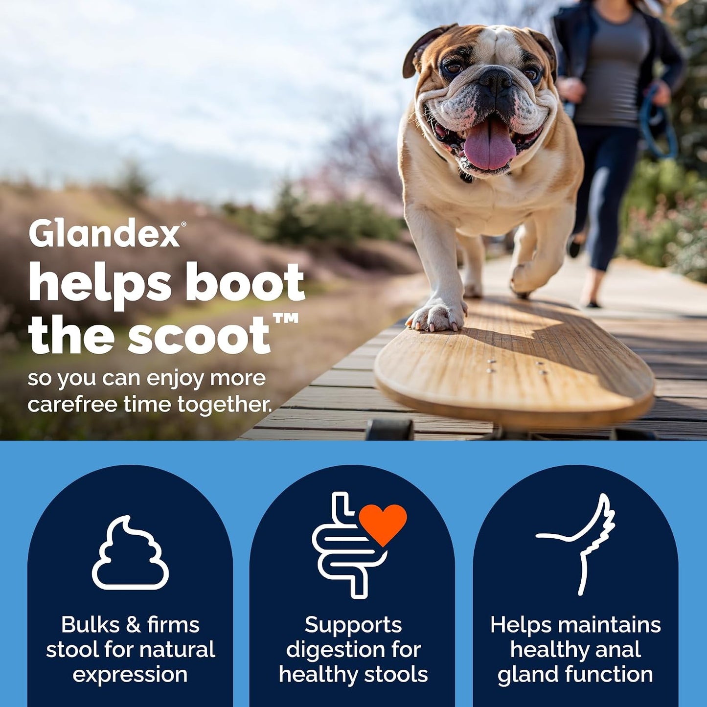 HOTVetnique Glandex for Dogs Anal Gland Chews 120ct, Pumpkin/Digestive Enzymes | Anal Gland Dog Treats, Boot the Scoot + Fishy Odor Support, Fiber, Probiotics, Quercetin + Apple Pectin, Peanut Butter