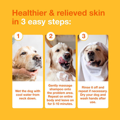 HOTDouxo S3 PYO Medicated Dog Shampoo with 3% Chlorhexidine for Dogs – Antibacterial & Antiseptic Yeast Infection Treatment For Dogs & Cats, Clinically Proven, 6.7 fl oz | Antibacterial & Antiseptic Yeast Infection Treatment For Dogs & Cats, Clinically Pr