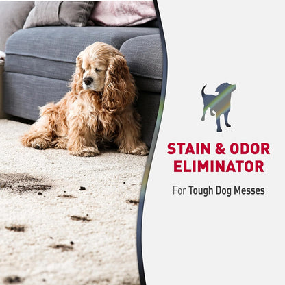 HOTNature’s Miracle Advanced Stain and Odor Eliminator Dog Spray, Fresh Scent, Severe Mess Enzymatic Formula For Tough Pet Messes, 32 oz