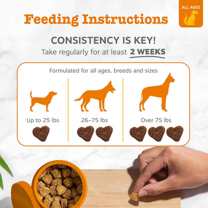 HOTZesty Paws Allergy Immune Bites - Dog Allergy Chews, Dog Probiotics for Itchy Skin and Ears, Lamb, 90ct