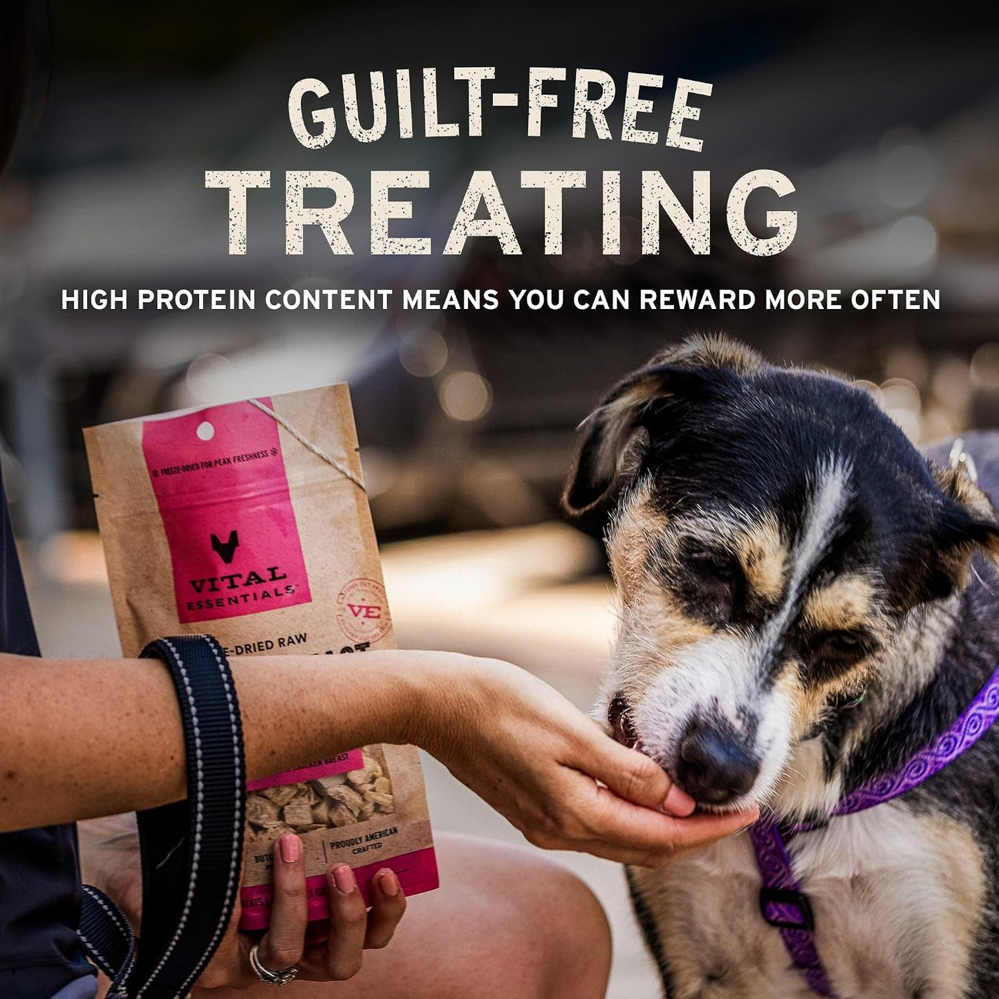 HOTVital Essentials Freeze Dried Dog Treats, Salmon Bites, 2.5 oz Bag | Single Animal Protein, Premium Quality, Grain-Free Training Treats, USA Made with U.S. & Globally Sourced Ingredients