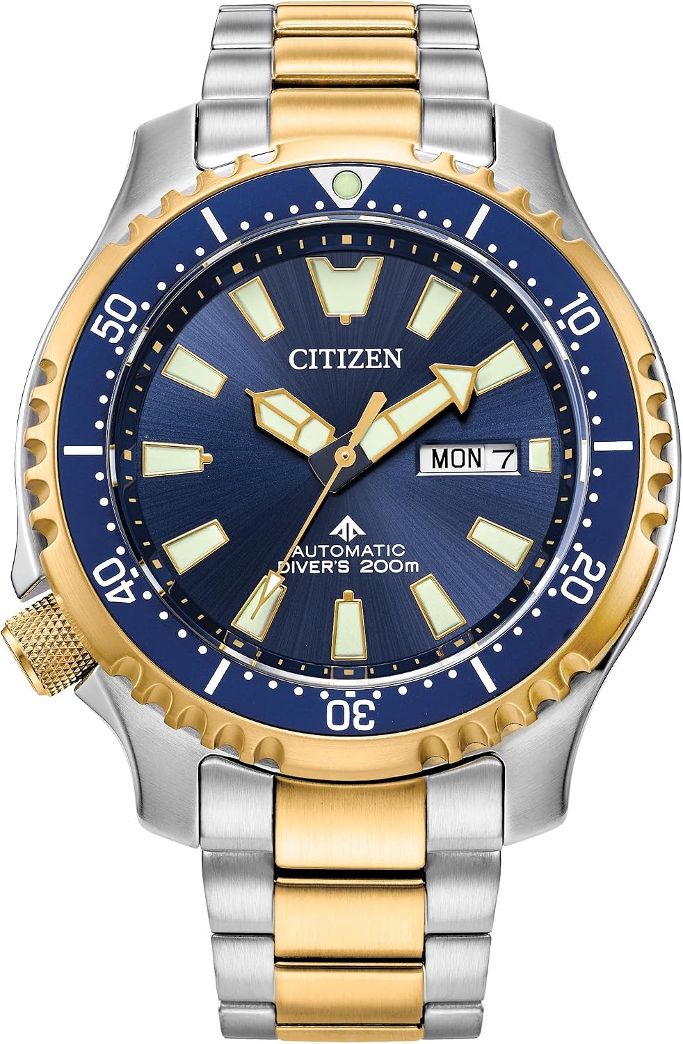 HOTCitizen Men's Promaster Dive Fugu