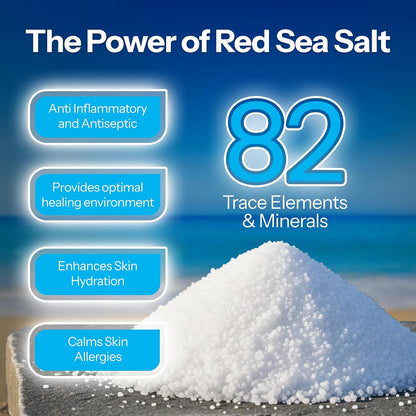 HOTH2Ocean Piercing Aftercare Spray and Keloid Bump Removal– Sea Salt Spray for Body and Facial Piercings – Ear, Nose, Navel, Oral & Body Piercing Cleaner, Aftercare Solution for New Piercings– 4oz