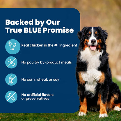 HOTBlue Buffalo Life Protection Formula Chicken Adult Dry Dog Food, 30 lb | Real Chicken #1 Ingredient, Supports Immunity with Antioxidant-Rich LifeSource Bits, Promotes Healthy Muscle Development