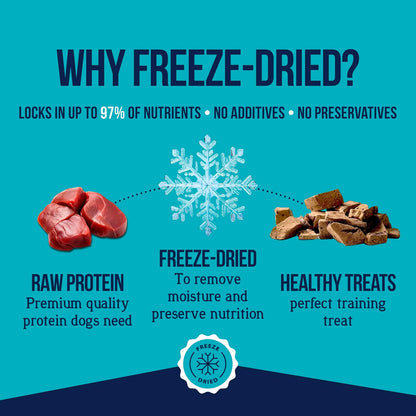 HOTStewart Freeze Dried Dog Treats, 100% Beef Liver, 21 oz Tub | Premium Quality Raw Protein, Single Ingredient, High Protein Training Treats & Food Topper, No Refrigeration, Cat Friendly