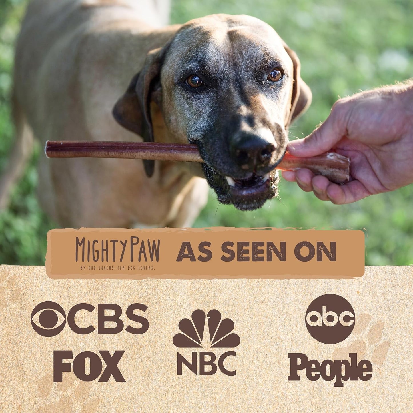 HOTMighty Paw Long Lasting 12" Bully Sticks for Dogs - All Natural Grass Fed Beef Chews. Lower Odor Dog Bully Sticks for Large Dogs, Medium and Small Breeds. Single Ingredient Treats