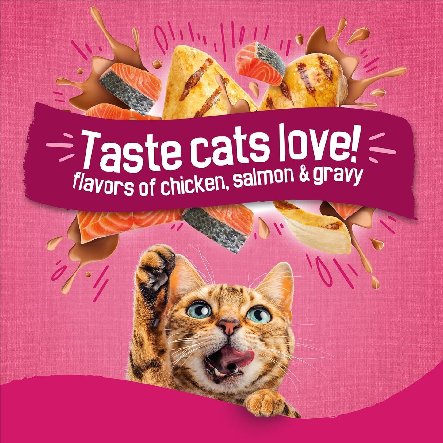 HOTPurina Friskies Gravy Swirlers with Flavors of Chicken, Salmon and Gravy Dry Cat Food - 22 lb. Bag