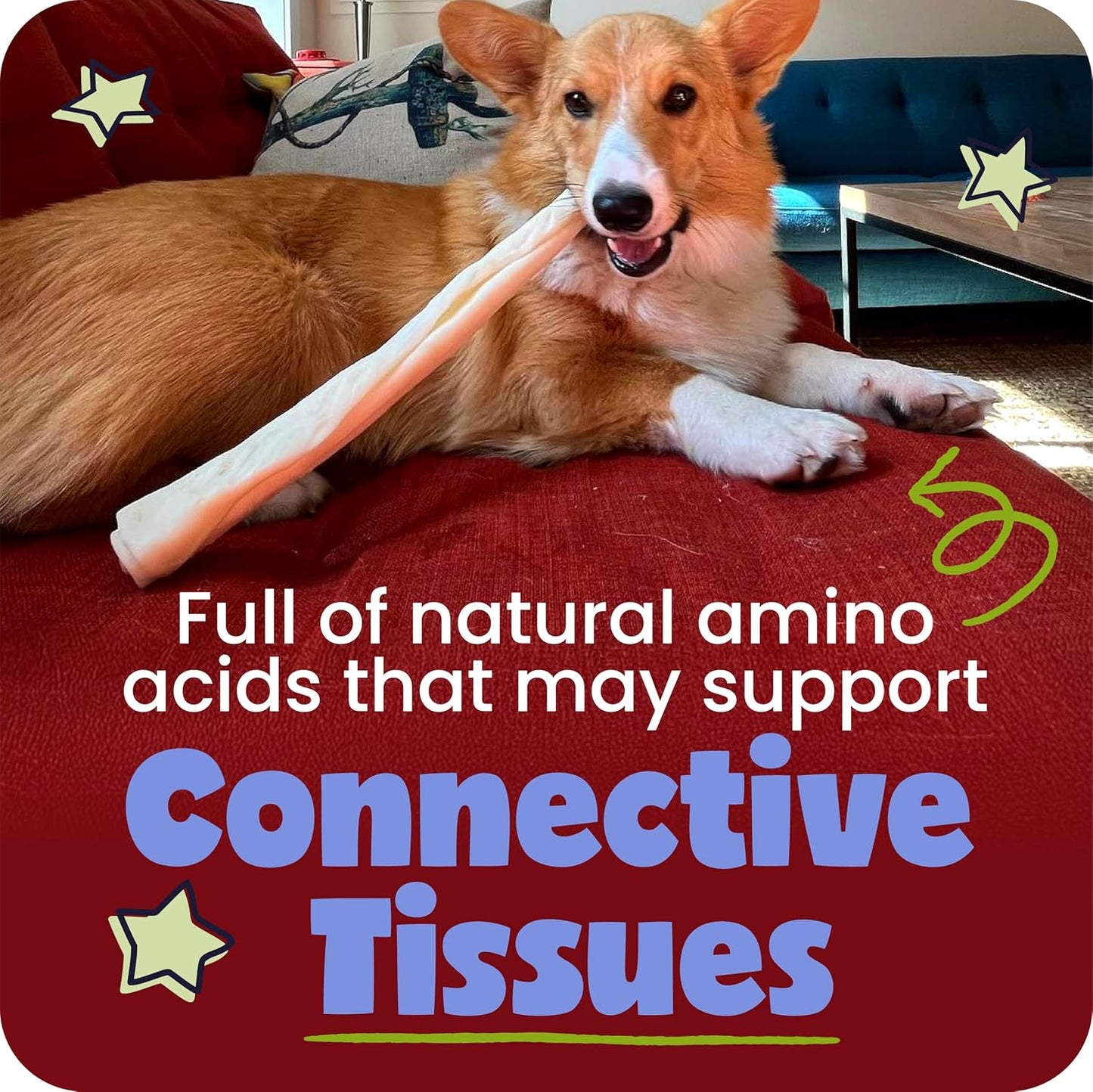 HOTPawstruck Natural Large 12" Beef Collagen Sticks for Dogs – Long-Lasting Rawhide Alternative, High Protein Treats with Chondroitin & Glucosamine – 5 Pack