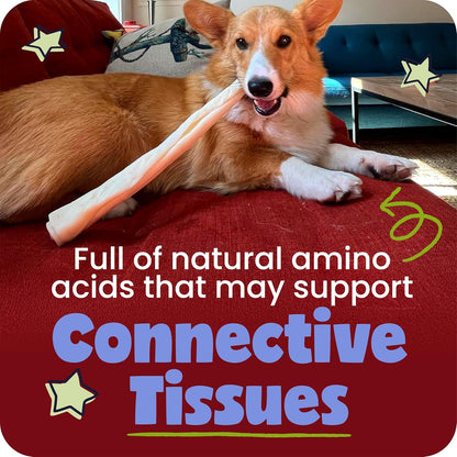 HOTPawstruck Natural Large 12" Beef Collagen Sticks for Dogs – Long-Lasting Rawhide Alternative, High Protein Treats with Chondroitin & Glucosamine – 5 Pack