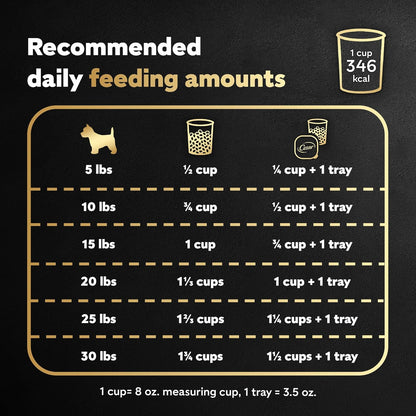 HOTCesar Small Breed Dry Dog Food, Filet Mignon & Spring Vegetables, 12 lb | Made in USA, Real beef #1 ingredient, 26 essential nutrients, supports small breed health, no artificial flavors