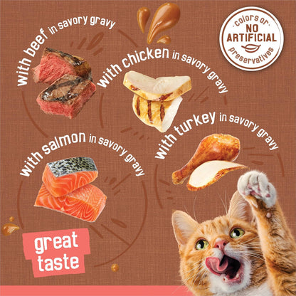 HOTPurina Friskies Extra Gravy Wet Cat Food Chunky 24ct Variety Pack (With Chicken, Turkey, Salmon, Beef) - (Pack of 24) 5.5 oz. Cans