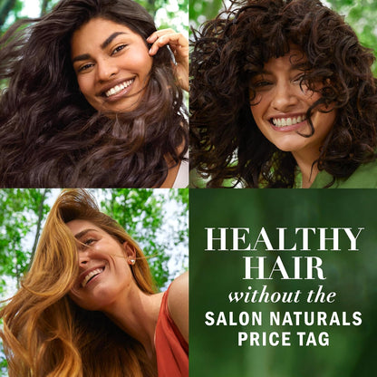 HOTHerbal Essences Argan Oil Repair Shampoo & Conditioner Set, Moisturizes & Smoothes, Paraben-Free, Color-Safe, pH-Balanced, Citrus Scent, 20.2 Fl Oz, 2-Pack