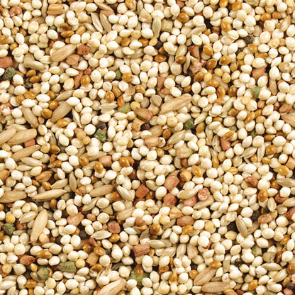 HOTWild Harvest Daily Blend Nutrition Diet for Parakeet, Canary and Finch 10 Pounds, Orange flavour