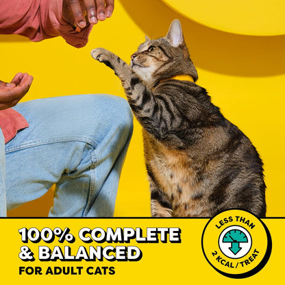 HOTTemptations Classic Crunchy and Soft Cat Treats, Tasty Chicken, 30 oz | Under 2 calories per treat, crunchy outside & soft inside, resealable tub, use as meal or topper, 100% complete & balanced