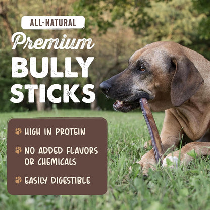 HOTMighty Paw Long Lasting 12" Bully Sticks for Dogs - All Natural Grass Fed Beef Chews. Lower Odor Dog Bully Sticks for Large Dogs, Medium and Small Breeds. Single Ingredient Treats