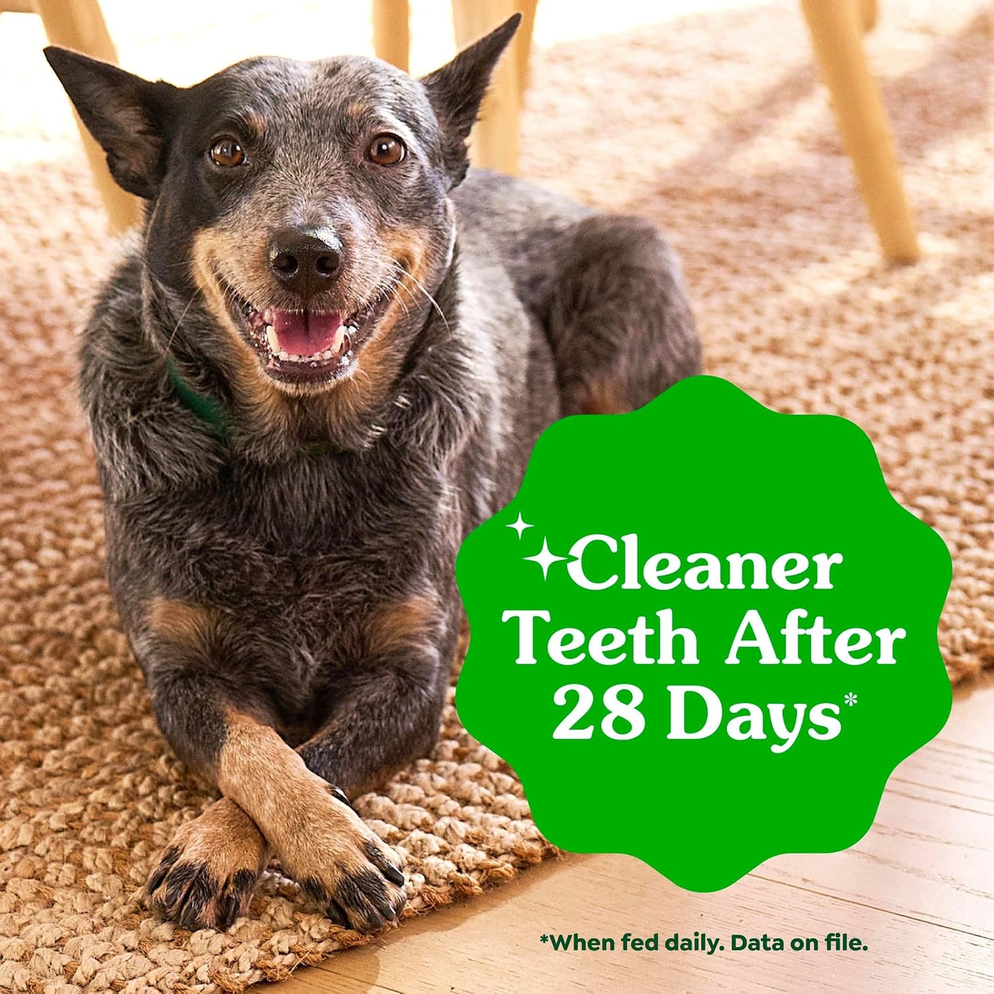 HOTGreenies Teenie Original Natural Dental Dog Treats, Chicken, 43 Count | Clinically-proven, veterinarian-recommended, 47% less tartar & 40% less plaque in 28 days, for dogs 5-15 lbs, 12 oz. Pack