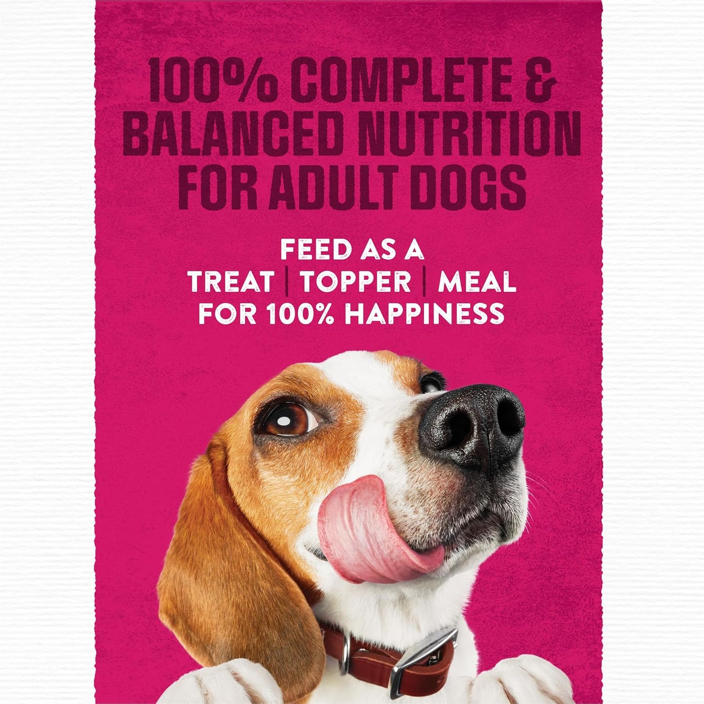 HOTPurina Moist and Meaty Steak Flavor Soft Dog Food Pouches - 36 ct. Pouch