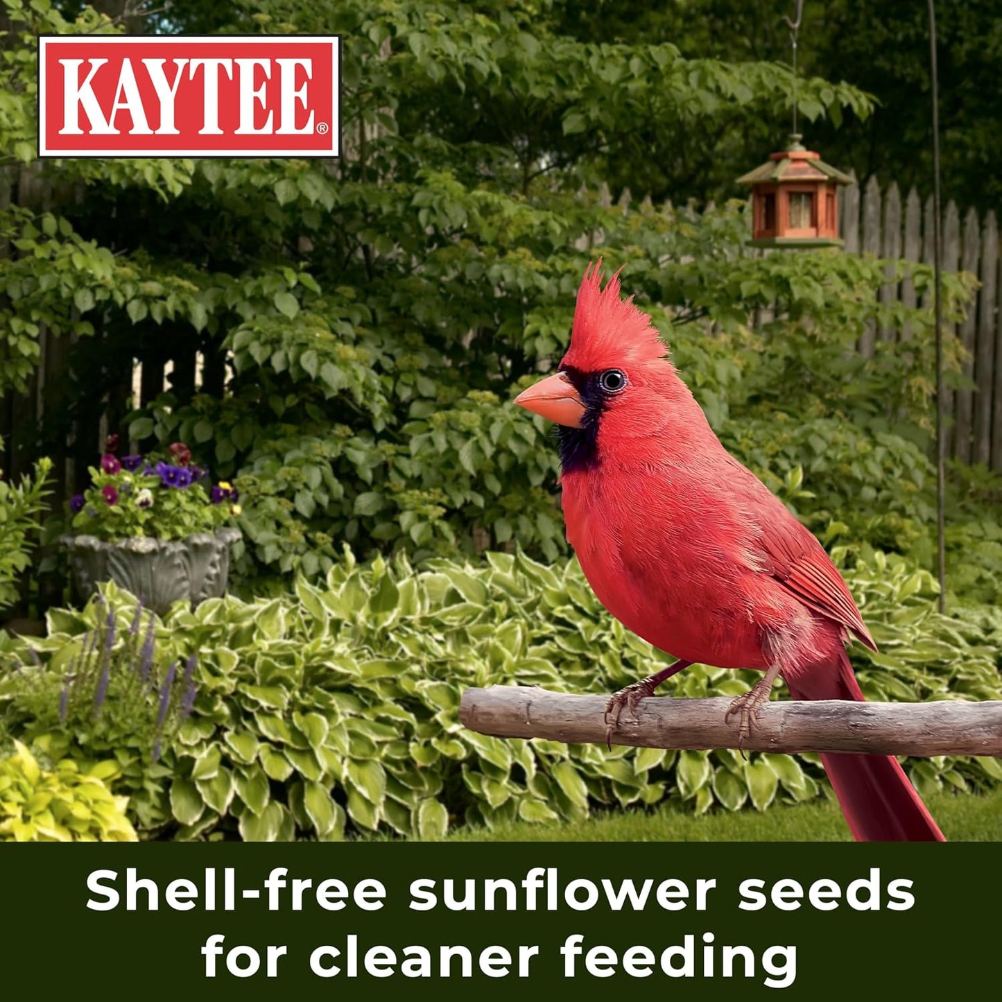 HOTKaytee Wild Bird (No Mess or Waste Free) Food Seed Blend For Blue Jays, Woodpeckers, Juncos, Cardinals, Grosbeaks, Sparrows, and Finches, 10 Pound, (Packaging May Vary)