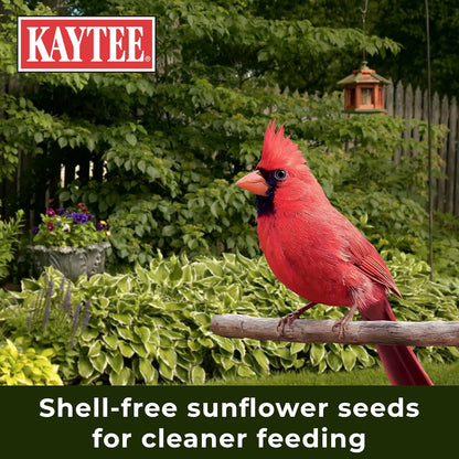 HOTKaytee Wild Bird (No Mess or Waste Free) Food Seed Blend For Blue Jays, Woodpeckers, Juncos, Cardinals, Grosbeaks, Sparrows, and Finches, 10 Pound, (Packaging May Vary)