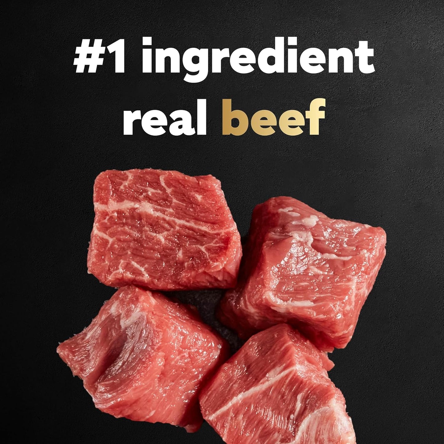HOTCesar Small Breed Dry Dog Food, Filet Mignon & Spring Vegetables, 12 lb | Made in USA, Real beef #1 ingredient, 26 essential nutrients, supports small breed health, no artificial flavors