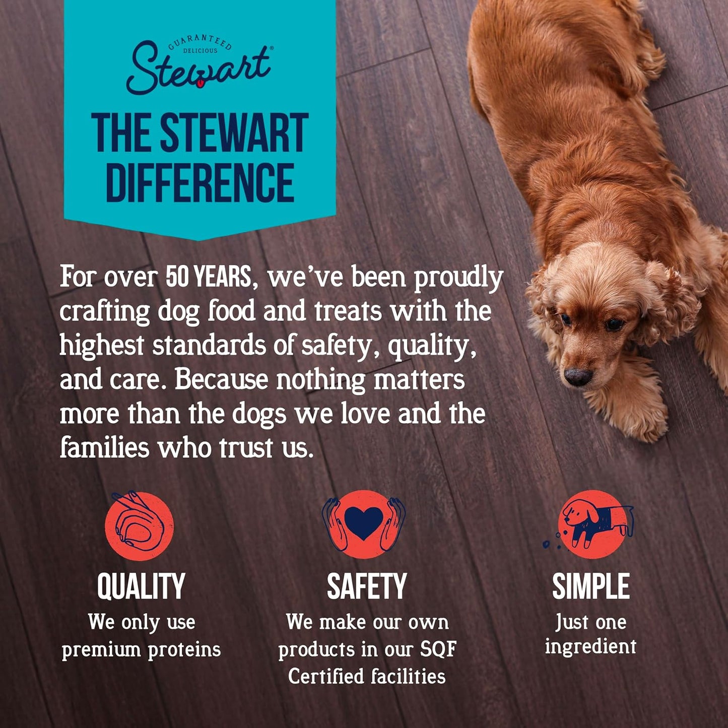 HOTStewart Freeze Dried Dog Treats, 100% Beef Liver, 21 oz Tub | Premium Quality Raw Protein, Single Ingredient, High Protein Training Treats & Food Topper, No Refrigeration, Cat Friendly