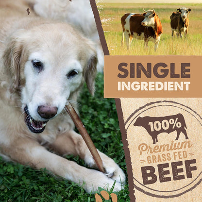 HOTMighty Paw Long Lasting 12" Bully Sticks for Dogs - All Natural Grass Fed Beef Chews. Lower Odor Dog Bully Sticks for Large Dogs, Medium and Small Breeds. Single Ingredient Treats