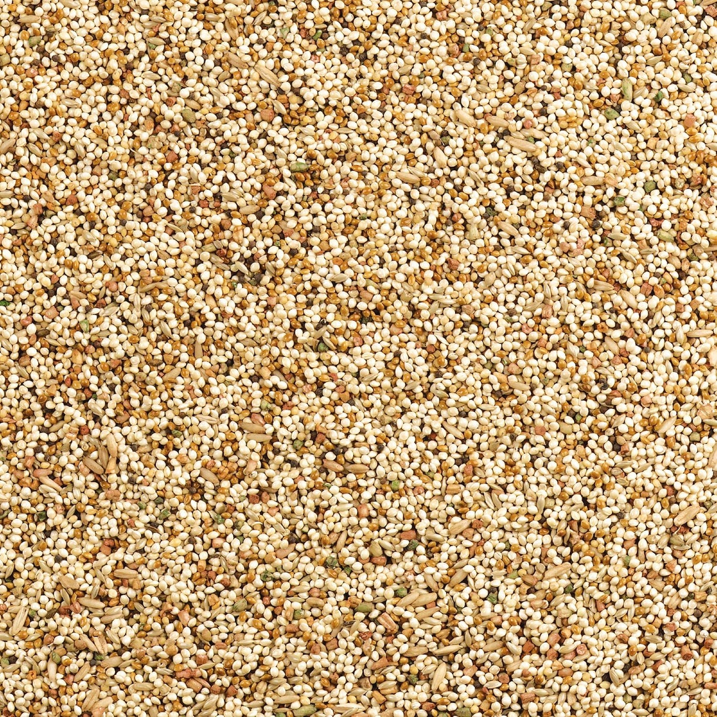 HOTWild Harvest Daily Blend Nutrition Diet for Parakeet, Canary and Finch 10 Pounds, Orange flavour