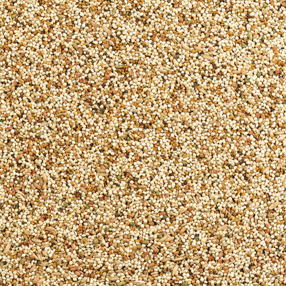 HOTWild Harvest Daily Blend Nutrition Diet for Parakeet, Canary and Finch 10 Pounds, Orange flavour
