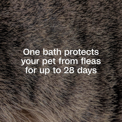 HOTADAMS Plus Flea & Tick Shampoo with Precor for Dogs, Cats, Puppies & Kittens, Flea Shampoo to Treat Infestations, Kills Ticks, Fleas, Flea Eggs & Lice, Cleans and Conditions Coat, 12 Ounces